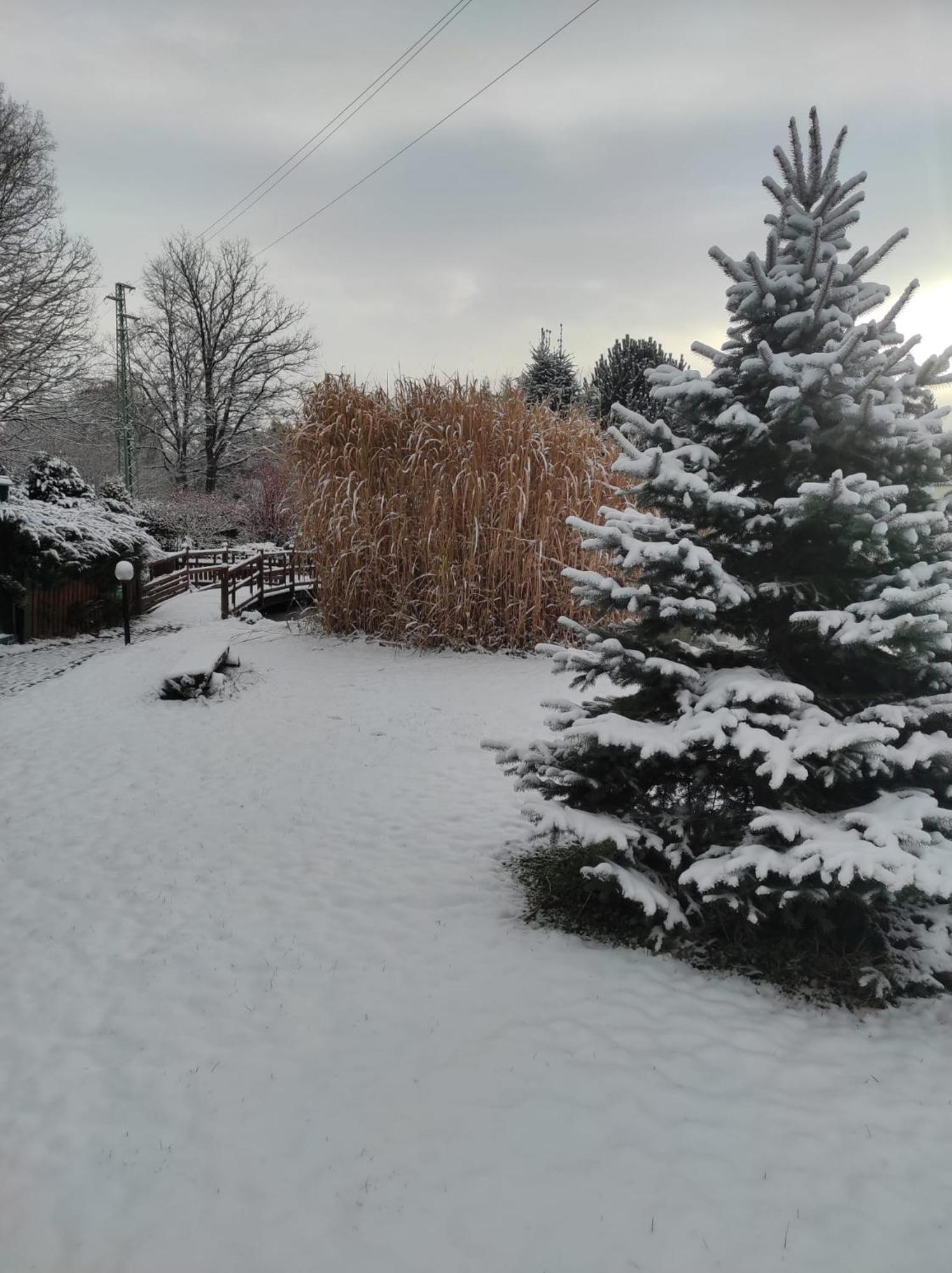Penzion Kosky Hamr Buitenkant foto