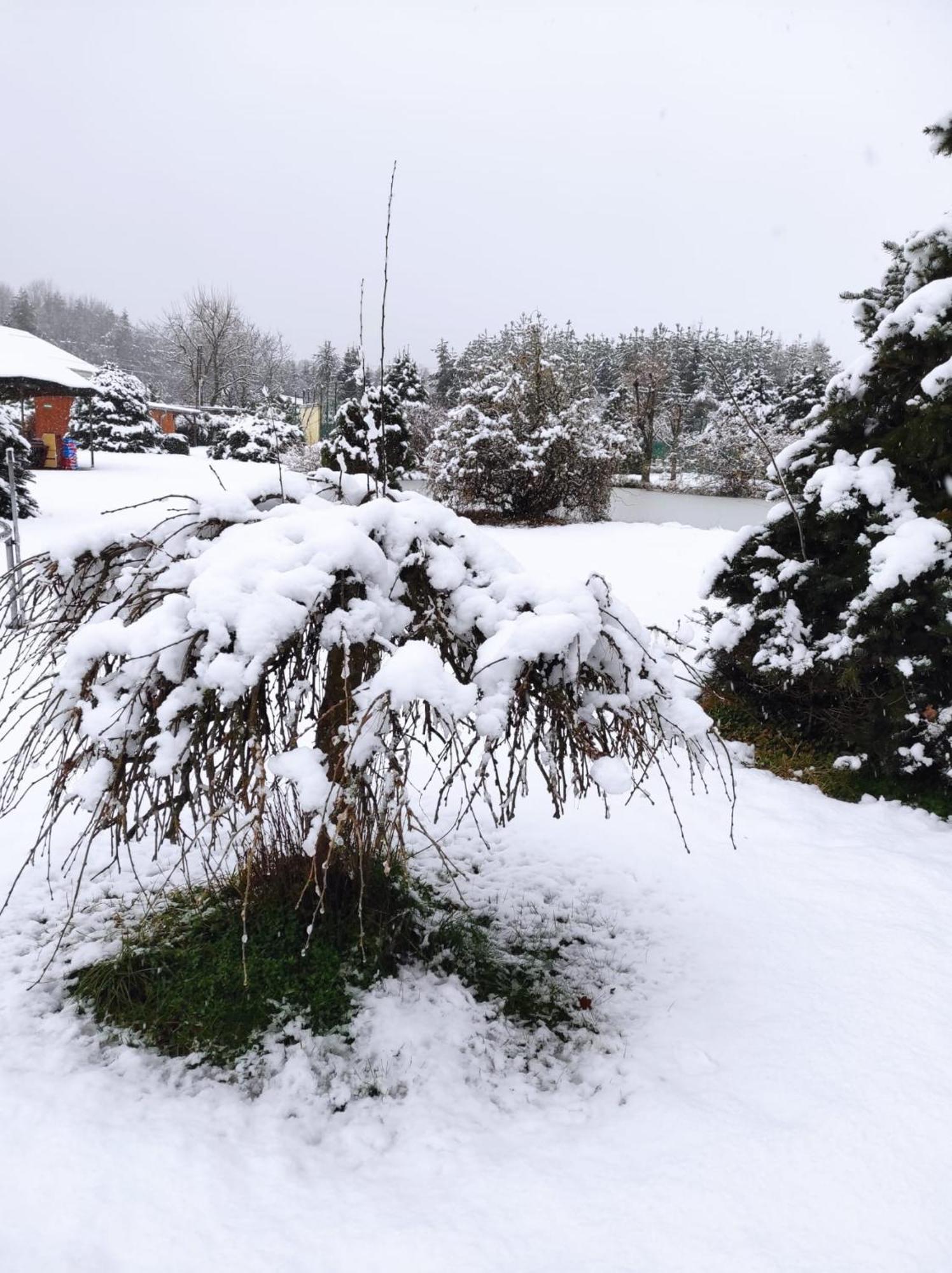 Penzion Kosky Hamr Buitenkant foto