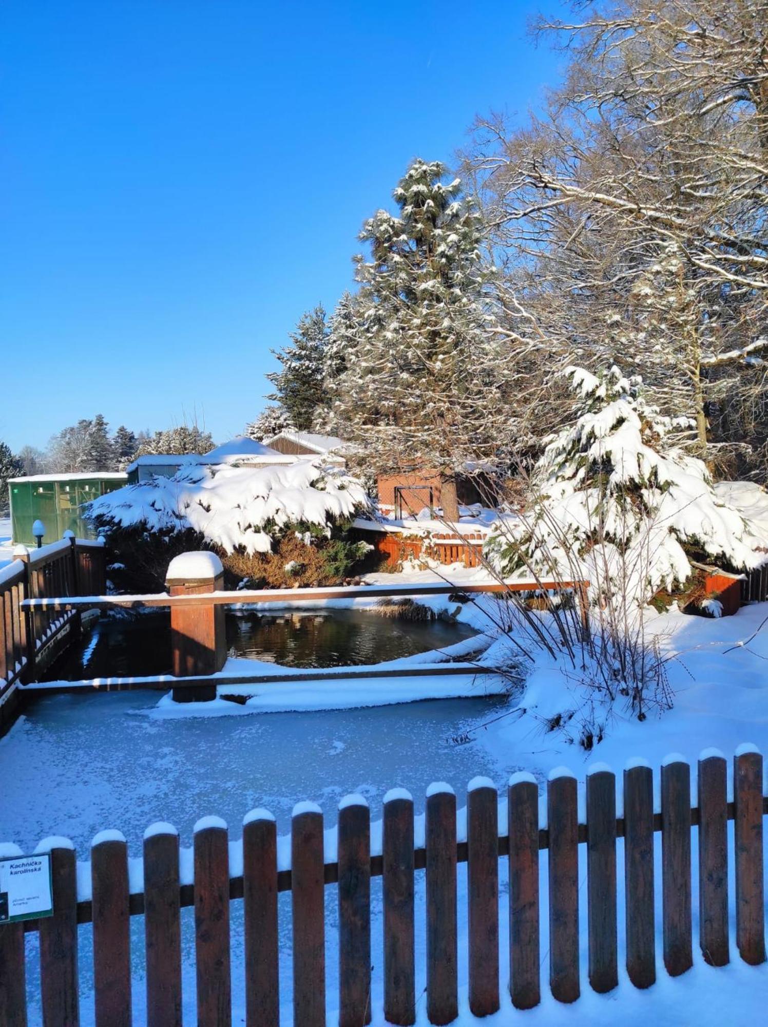 Penzion Kosky Hamr Buitenkant foto