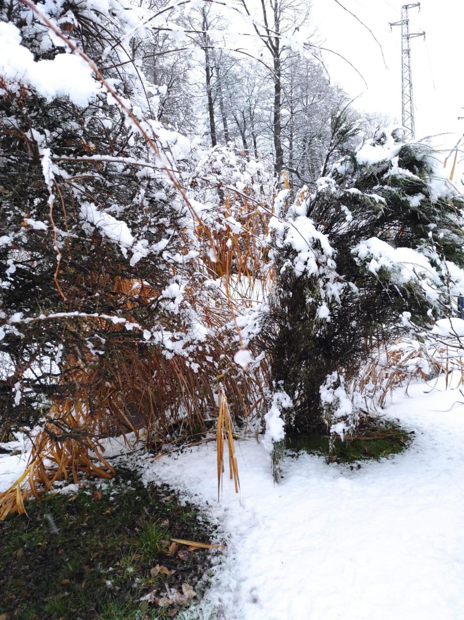 Penzion Kosky Hamr Buitenkant foto