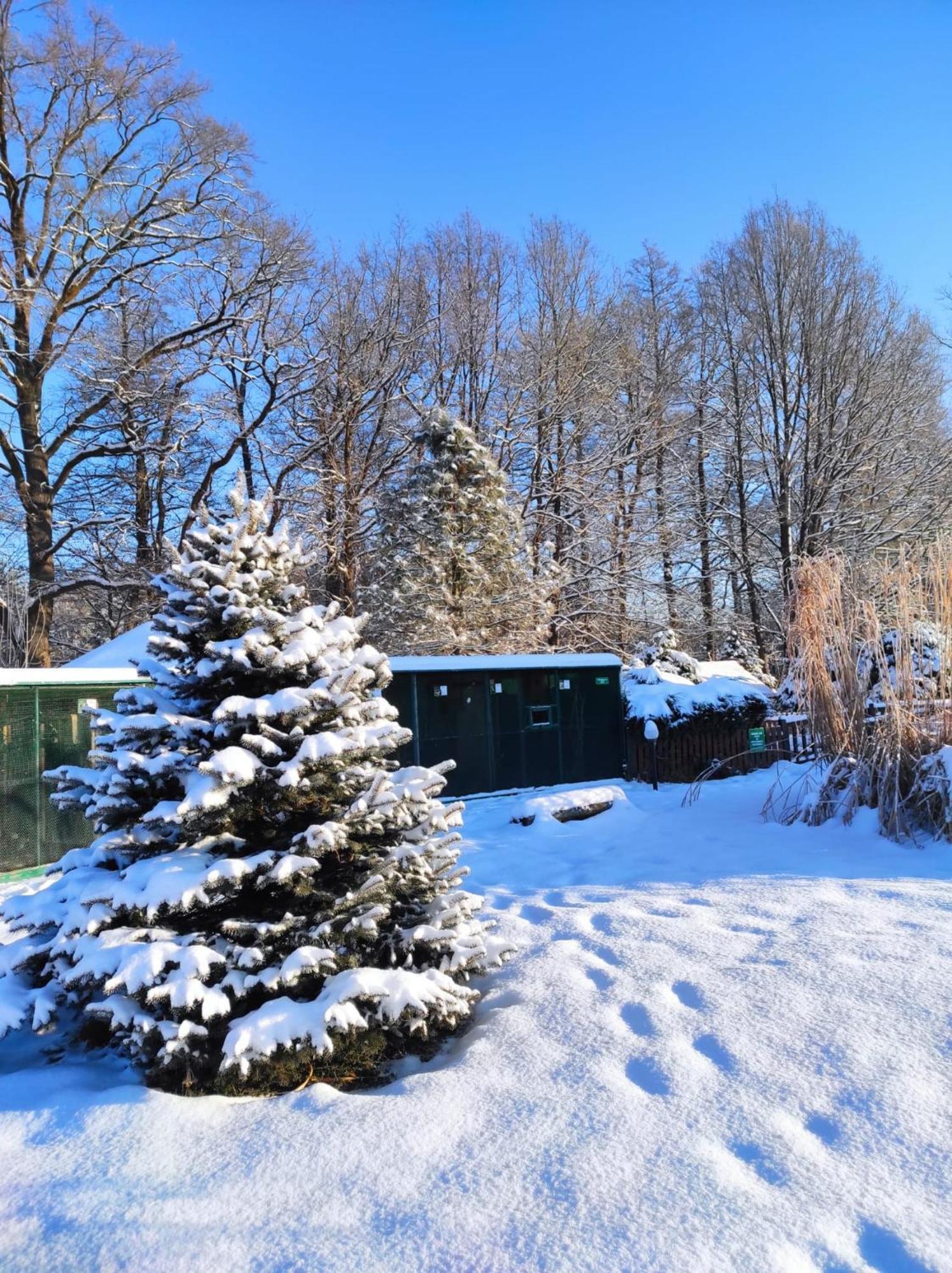 Penzion Kosky Hamr Buitenkant foto